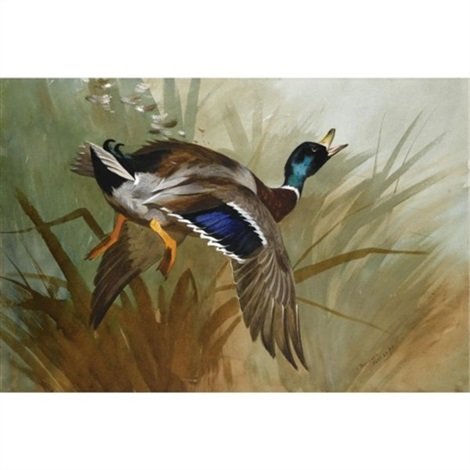 archibald thorburn winged A4 Photo Print