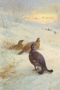 archibald thorburn winter in the glen blackgame packing A4 Photo Print