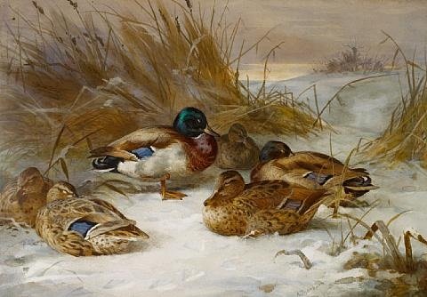 archibald thorburn winter landscape with mallard A4 Photo Print