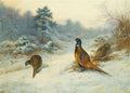 archibald thorburn winters sunset pheasants in the snow A4 Photo Print