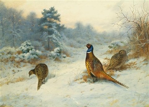 archibald thorburn winters sunset pheasants in the snow A4 Photo Print
