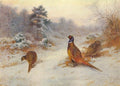 archibald thorburn winters sunset pheasants A4 Photo Print