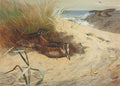 archibald thorburn woodcock among the dunes A4 Photo Print
