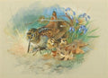 archibald thorburn woodcock and young A4 Photo Print