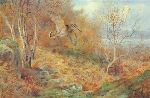 archibald thorburn woodcock at loch maree A4 Photo Print