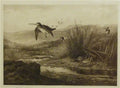 archibald thorburn woodcock shooting A4 Photo Print