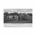 argentina faenas agricolas ed r rosauer 327 Vintage A4 Photo Print