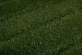 artificial turf green 1980s 1990s A4 Photo Print