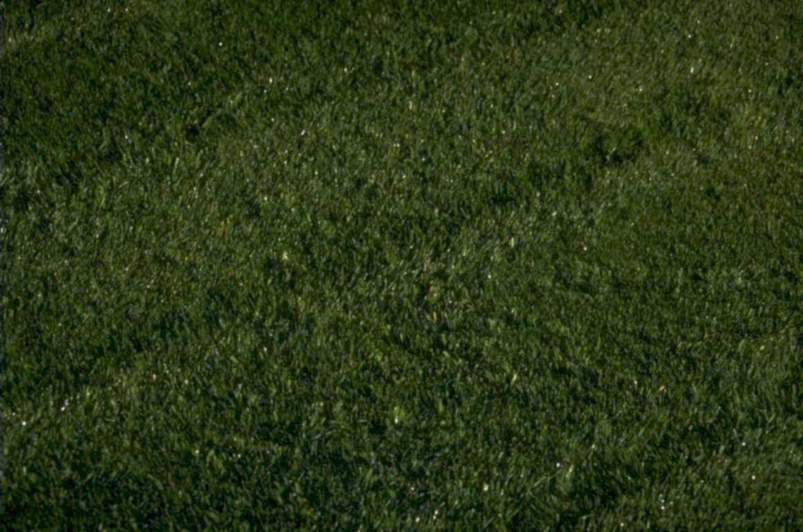 artificial turf green 1980s 1990s A4 Photo Print