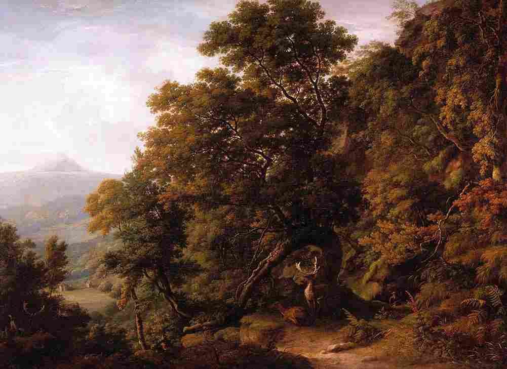 ash View of Powerscourt Demesne Art A4 Photo Print