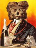 ashing dog 1 Vintage Advert A4 Photo Print