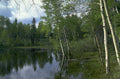 aspen grove reflection 1980s 1990s A4 Photo Print