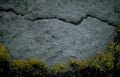 asphalt crack moss Vintage A4 Photo Print