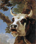 asselyn bellowing ox Art A4 Photo Print