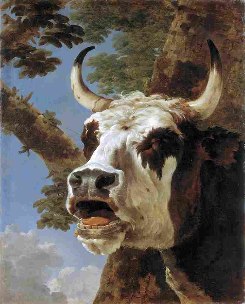 asselyn bellowing ox Art A4 Photo Print