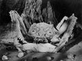 attack of crab monsters 09 film star poster A4 Photo Print