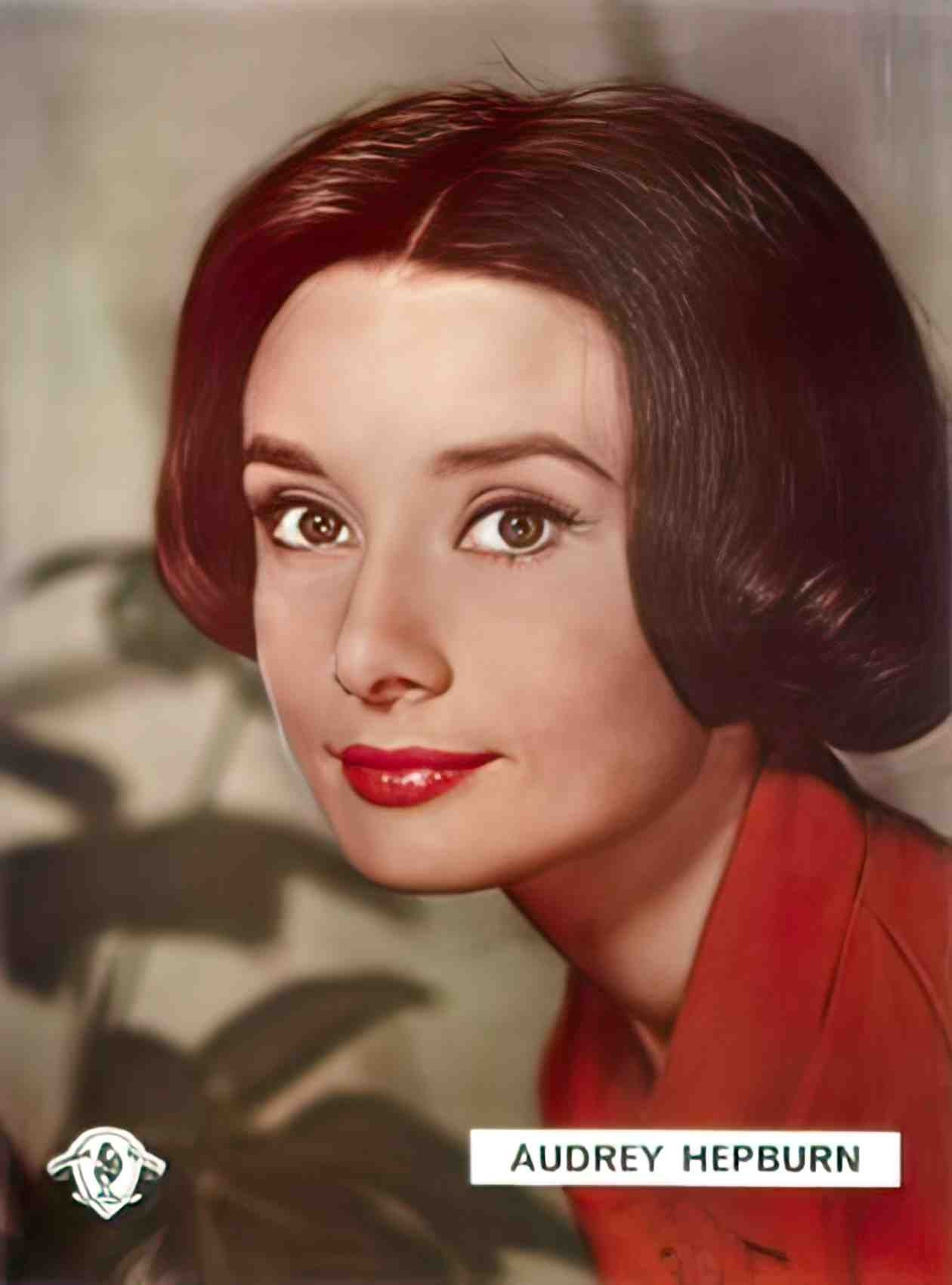 audrey hepburn portrait pt Advert A4 Photo Print