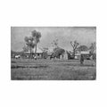 australia an australian sheep station raphael tuck son Vintage A4 Photo Print