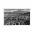 australia derwent river tas general view raphael tuck sons Vintage A4 Photo Print