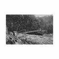 australia launceston tas alexander bridge Vintage A4 Photo Print