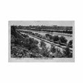 australia melbourne vic alexandra avenue the rose series p137 Vintage A4 Photo Print