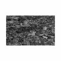 australia melbourne vic from the air aerial view bondfix series Vintage A4 Photo Print