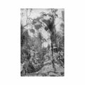 australia our beautiful bush a bush paradise harding billing s post card series 60 n 5 Vintage A4 Photo Print