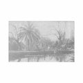 australia sydney botanical gardens Vintage A4 Photo Print