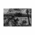 australia sydney lane cove river bridge at fig tree the kangaroo series 1301 Vintage A4 Photo Print