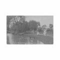 australia sydney nsw botanical gardens Vintage A4 Photo Print