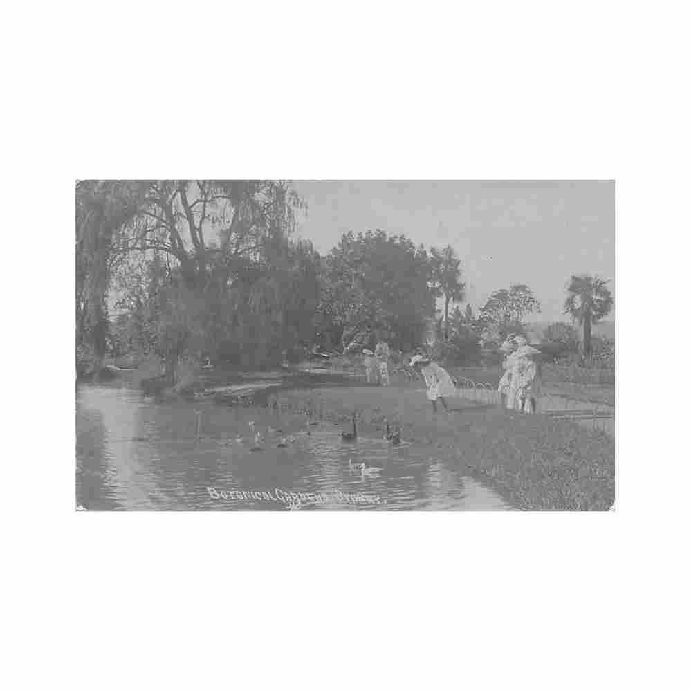 australia sydney nsw botanical gardens Vintage A4 Photo Print