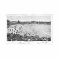 australia sydney nsw coogee bay oceana series b Vintage A4 Photo Print