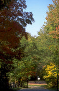 autumn basketball court 1980s 1990s A4 Photo Print