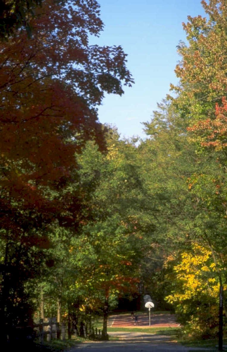 autumn basketball court 1980s 1990s A4 Photo Print