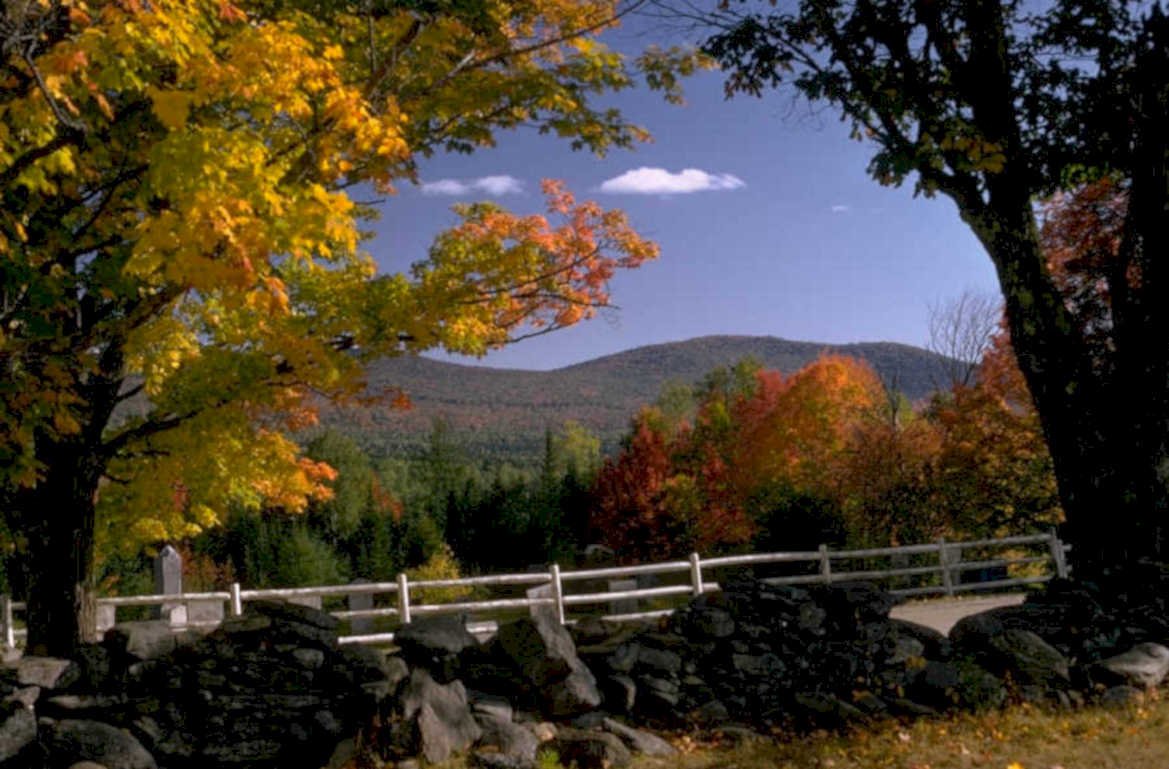 autumn bridge maple 1980s 1990s A4 Photo Print