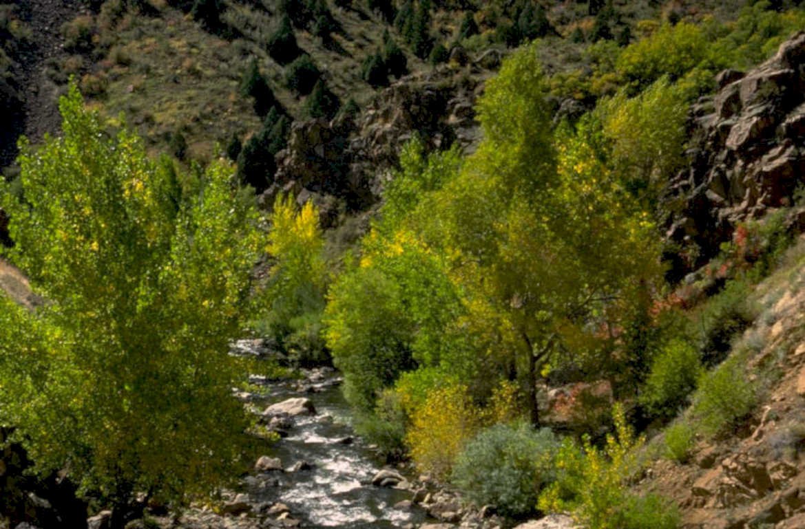 autumn canyon stream 1980s 1990s A4 Photo Print