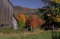 autumn farm scene 1980s 1990s A4 Photo Print