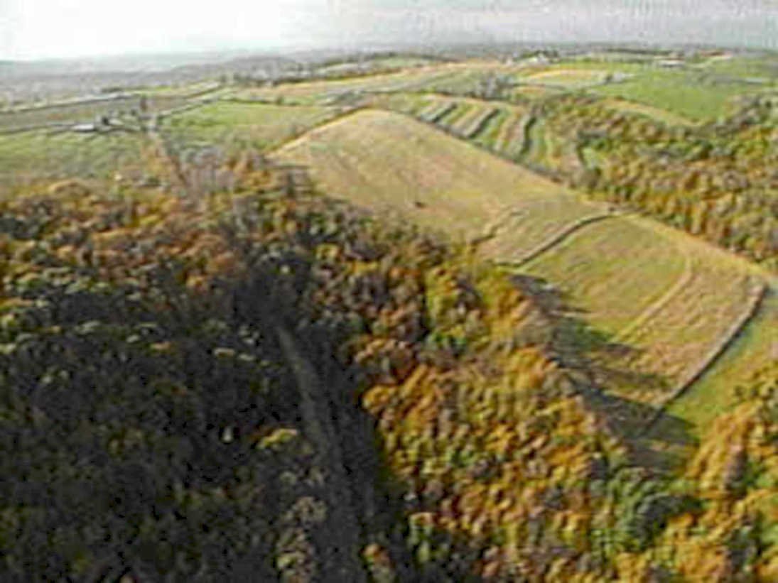 autumn farmland hills1980s 1990s A4 Photo Print