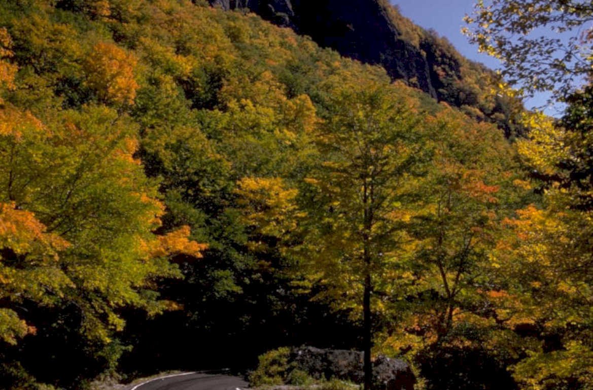 autumn foliage catskills 1980s 1990s A4 Photo Print