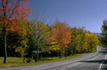autumn foliage road 1980s 1990s A4 Photo Print