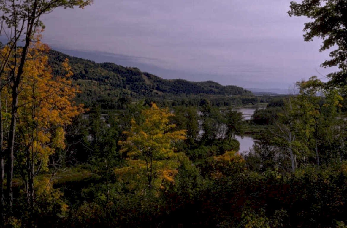 autumn forest lake 1980s 1990s A4 Photo Print 42
