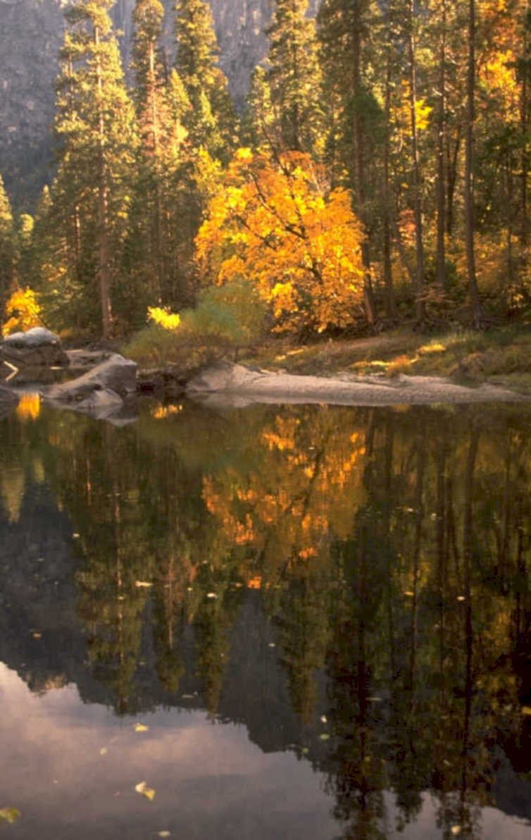 autumn forest lake 1980s 1990s A4 Photo Print 43