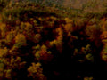 autumn forest mountains 31980s 1990s A4 Photo Print