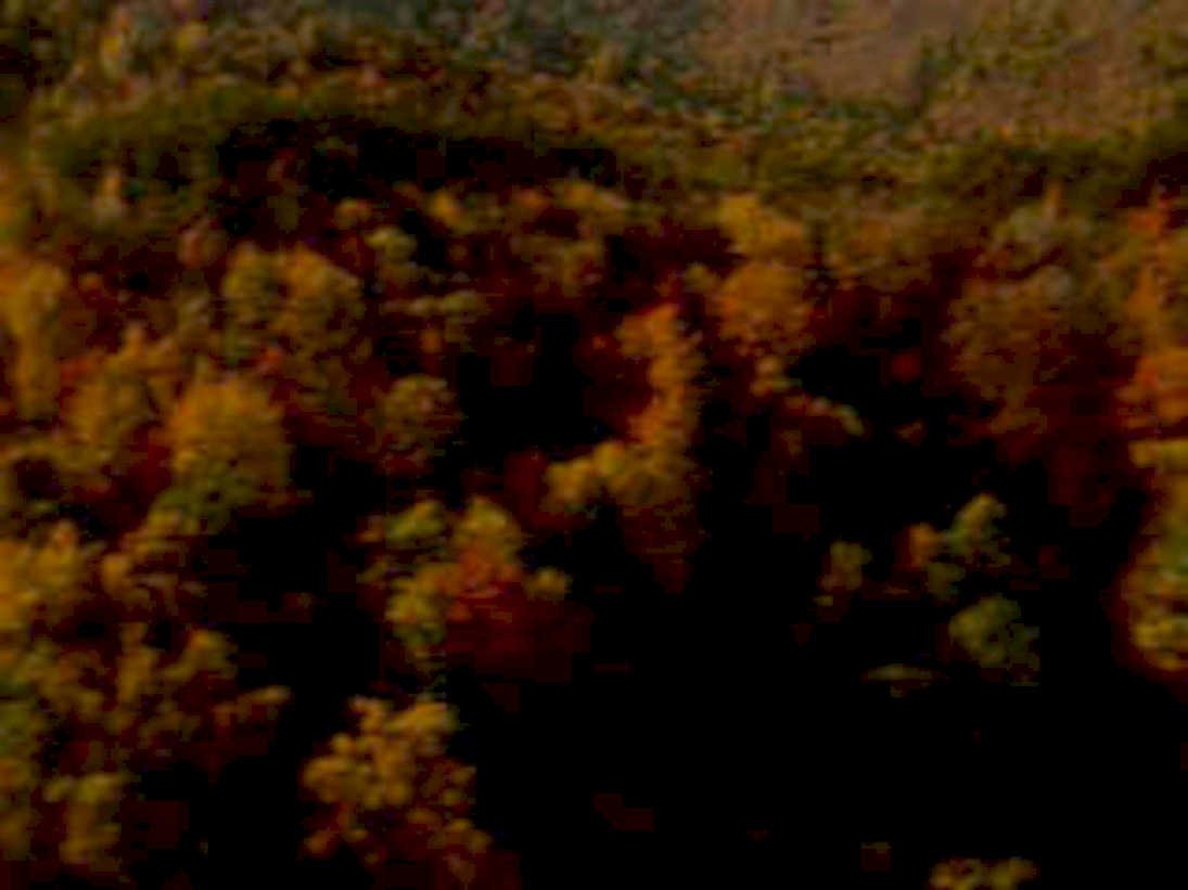 autumn forest mountains 31980s 1990s A4 Photo Print