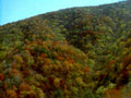 autumn forest mountains 41980s 1990s A4 Photo Print