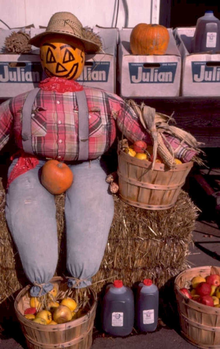 autumn harvest display 1980s 1990s A4 Photo Print