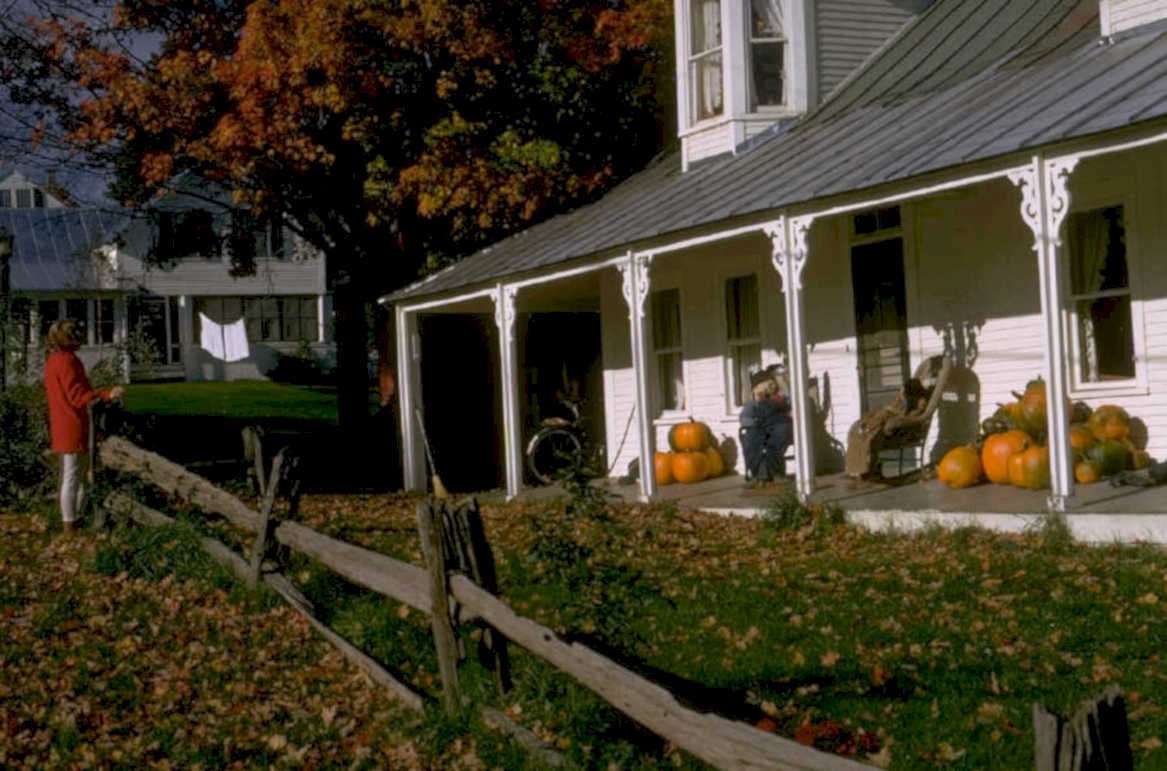 autumn harvest pumpkins 1980s 1990s A4 Photo Print
