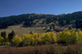 autumn hills aspen 1980s 1990s A4 Photo Print