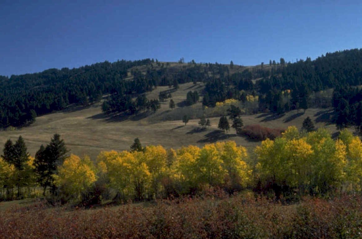 autumn hills aspen 1980s 1990s A4 Photo Print