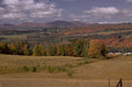 autumn hills maple 1980s 1990s A4 Photo Print